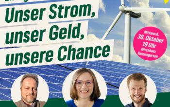 Unser Strom, unser Geld, unsere Chance